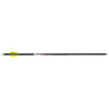 Wicked Ridge Lighted Alpha Brite Arrows Aluminum 20 In. 3 Pk.