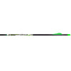 Carbon Express D-stroyer Piledriver Arrows 400 6 Pk.