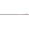 Easton 6.5mm Bowhunter Arrows 300 2 In. Bully Vanes 6 Pk.