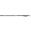 Carbon Express Predator Air Arrows 300 36 Pk.