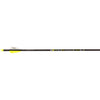 Victory Rip Ss Elite Arrows 200 2 In. Vanes 6 Pk.