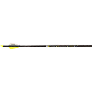 Victory Rip Ss Elite Arrows 200 2 In. Vanes 6 Pk.