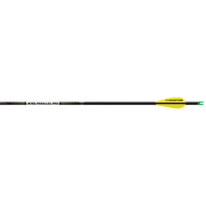 Easton X10 Parallel Pro Arrows 250 Aae Hybrid 26 Vanes 6 Pk.