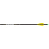 Easton X10 Parallel Pro Arrows 380 Aae Hybrid 26 Vanes 6 Pk.