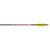 Black Eagle Outlaw Arrows 350 3 In. Feathers 6 Pk.