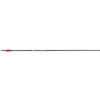 Victory Rip Sport Arrows 300 2 In. Vanes 6 Pk.