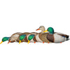 Avianx Axp Fusion Duck Decoys Mallards 6 Pk.