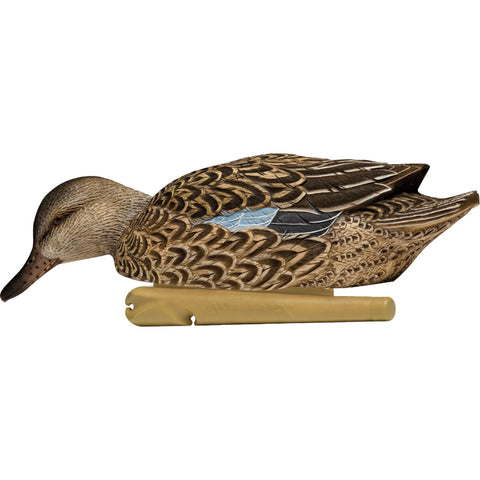 Image of Avianx Top Flight Duck Decoys Blue-winged Teal 6 Pk.