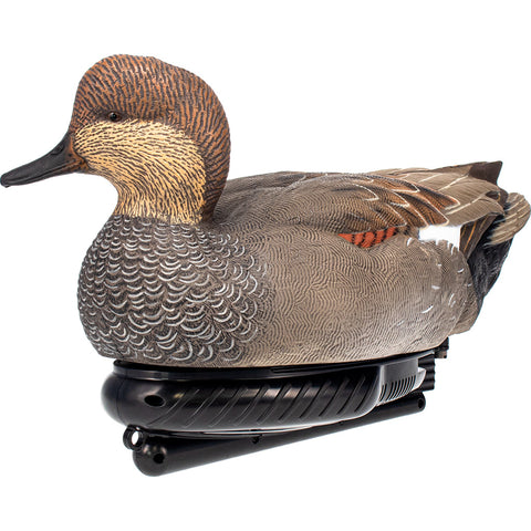 Image of Avianx Power Swimmer Duck Decoy Gadwall Drake