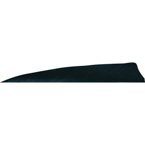 Gateway Shield Cut Feathers Black 4 In. Lw 50 Pk.