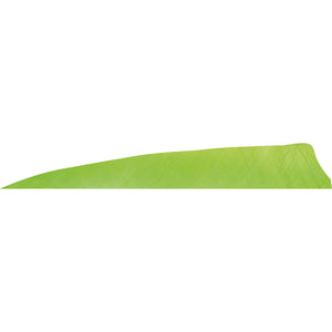 Gateway Shield Cut Feathers Charteuse 4 In. Lw 50 Pk.