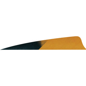 Gateway Shield Cut Feathers Kuro Brown 4 In. Lw 50 Pk.