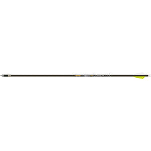 Gold Tip Pierce Lrt Arrows 250 2.1 In. Fusion X Ii Vanes 6 Pk.