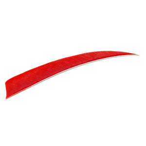 Trueflight Shield Cut Feathers Red 5 In. Lw 100 Pk.