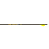 Gold Tip Hunter Pro Arrows 340 Raptor Vanes 6 Pk.