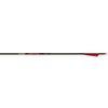 Gold Tip Hunter Arrows 340 4 In. Vanes 6 Pk.