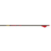 Gold Tip Velocity Arrows 400 Raptor Vanes 6 Pk.