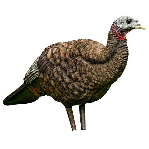 Image of Avian X Breeder Turkey Decoy