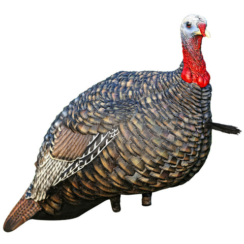 Image of Avian X Quarter Strut Jake Turkey Decoy