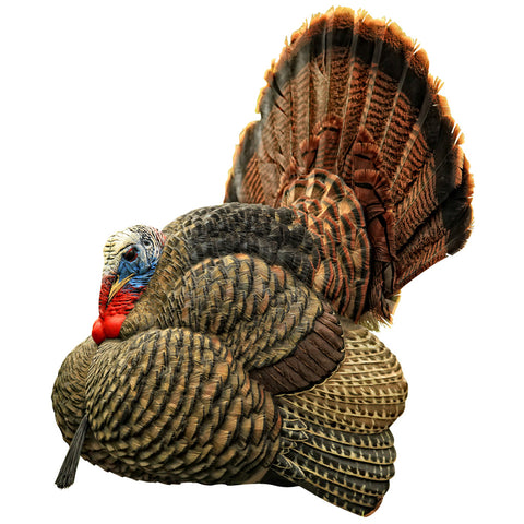 Image of Avian X Strutter Turkey Decoy