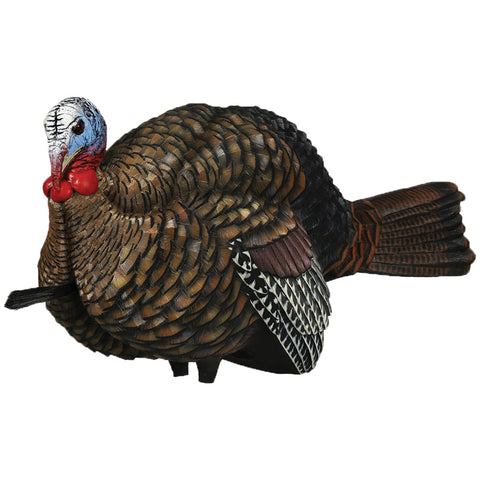 Image of Avian X 1/2 Strut Jake Turkey Decoy