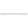 Gold Tip Velocity Pro Arrow 300 Raptor Vanes 6 Pk.