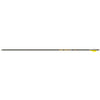 Gold Tip Hunter Pro Arrows 300 4 Fletch 6 Pk.