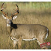 Duramesh Archery Target Whitetail 4 25 In. X 32 In.