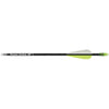 Carbon Express Thunder Express Arrows Black 26 In. 18 Pk.