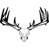 Raxx Crossbow Hanger Whitetail Skull