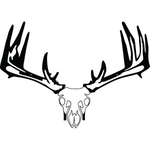 Raxx Crossbow Hanger Whitetail Skull