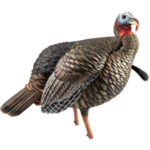 Image of Avian X Hdr Jake Decoy