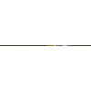 Gold Tip Kinetic Pierce Platinum Shafts 250 1 Doz.